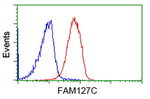 m31820 anti rtl8b mouse monoclonal antibody clone id oti1a6 flow cytometry testing 6