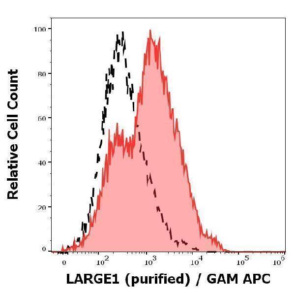 Separation of Hek293 cells transfected with LARGE1 vector and stained using anti-LARGE1 (LARGE-02) purified antibody (concentration in sample 15 µg/ml, GAM APC, red-filled) from Hek293 cells transfected with LARGE1 and unstained by primary antibody (GAM APC, black-dashed) in flow cytometry analysis (intracellular staining)