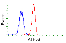 Flow cytometric analysis of Hela cells