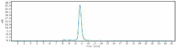 The purity of Anti-B7-H5/VISTA Reference Antibody (onvatilimab)is more than 98