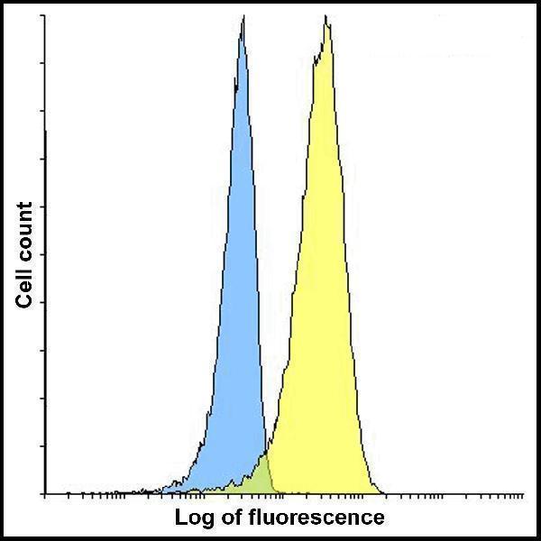 m32320 vsir primary antibodies fcm testing 7