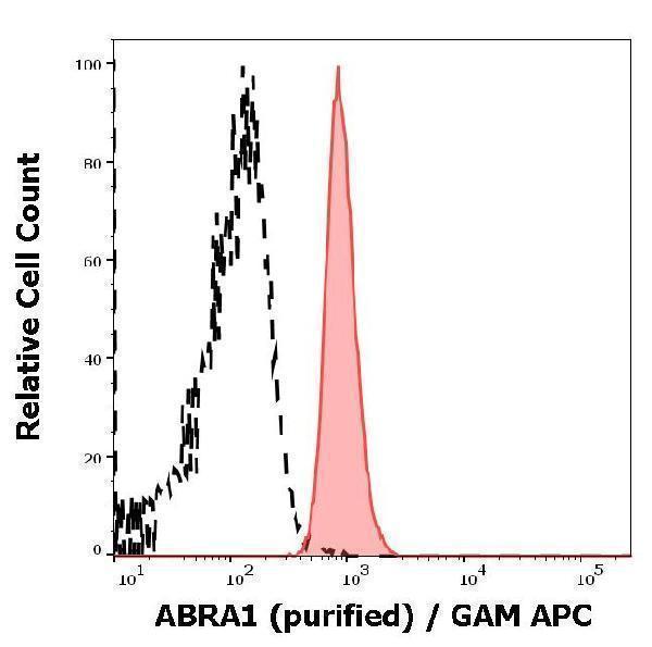 Separation of MOLT-4 cells stained using anti-ABRA1 (ABRA1-01) purified antibody (concentration in sample 9 µg/ml, GAM APC, red-filled) from MOLT-4 cells unstained by primary antibody (GAM APC, black-dashed) in flow cytometry analysis (intracellular staining)