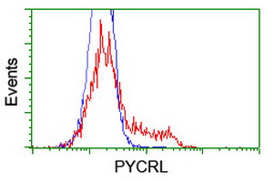 m32428 1 anti pycr3 mouse monoclonal antibody clone id oti3e1 flow cytometry testing 13
