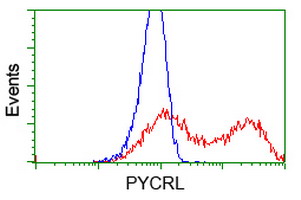 m32428 2 anti pycr3 mouse monoclonal antibody clone id oti1b12 flow cytometry testing 9