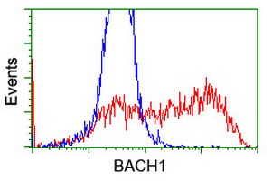 m33956 anti bach1 mouse monoclonal antibody clone id oti4e11 flow cytometry testing 5