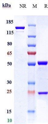 m34012 5 sds page