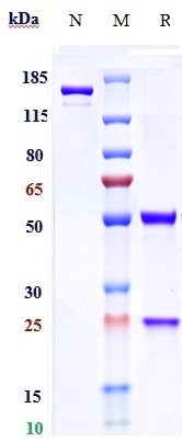 m34016 3 sds page