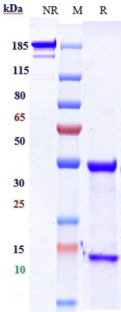 m34023 1 sds page