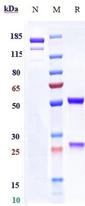 m34026 1 sds page