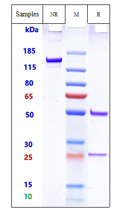 m34032 sds page
