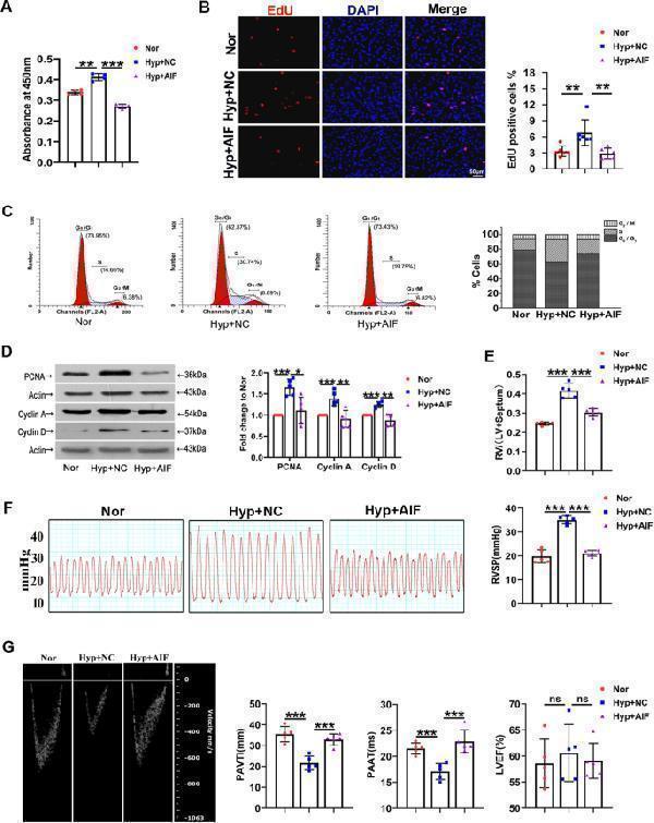 ma1032 13578_2022_744_fig4_html