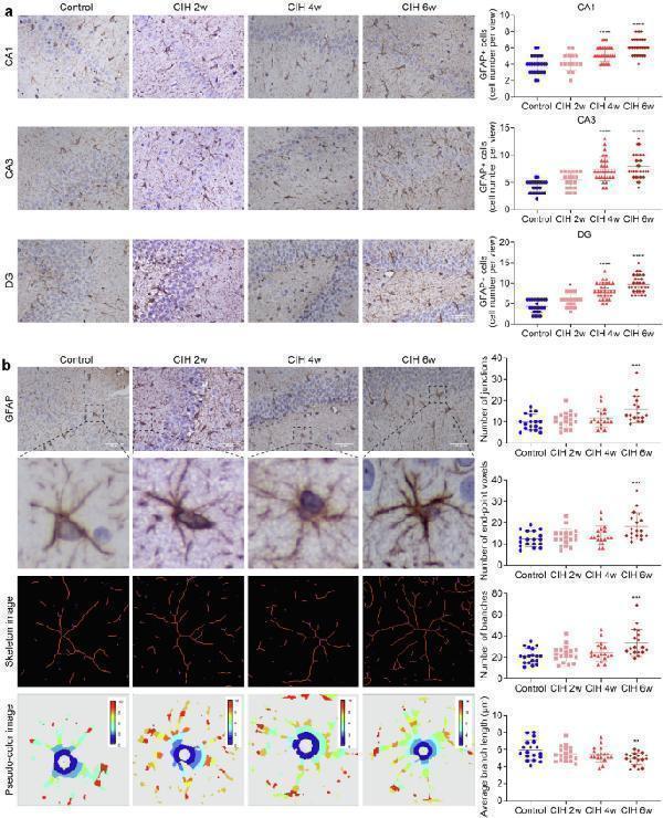 ma1045 12868_2022_756_fig3_html