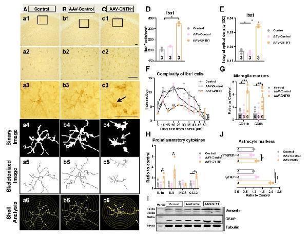 ma1045 ad 14 5 1853 g3