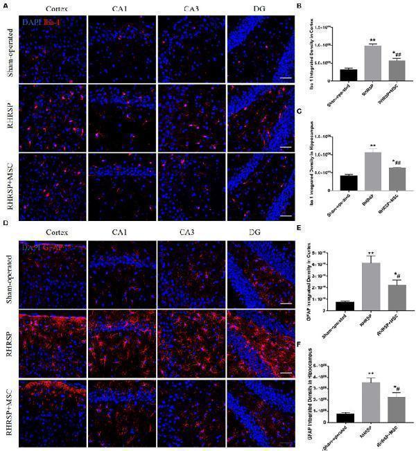ma1045 fnagi 14 883503 g0007