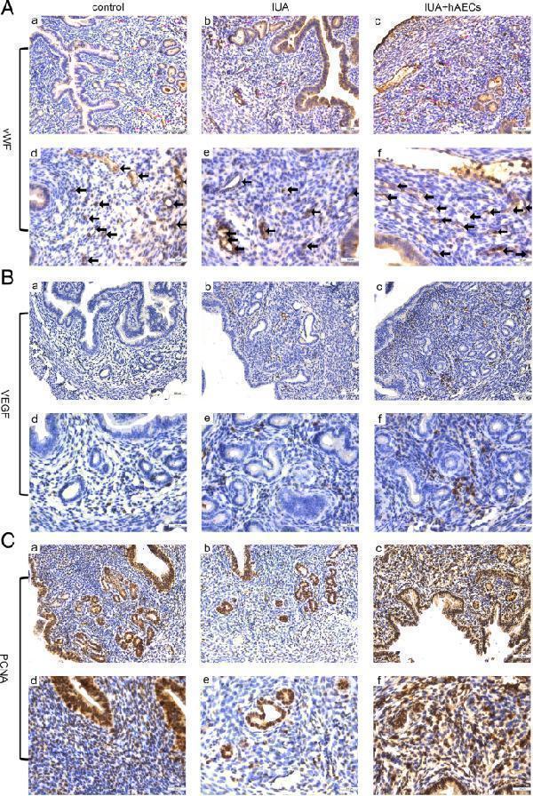 ma1083 13287_2019_1368_fig4_html