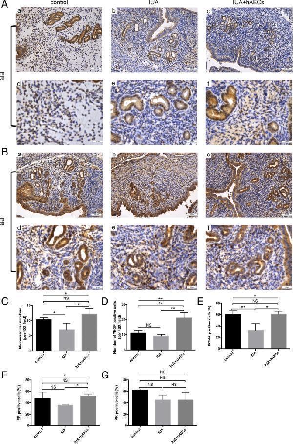 ma1083 13287_2019_1368_fig5_html