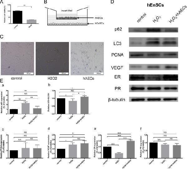 ma1083 13287_2019_1368_fig8_html