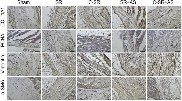 ma1083 fbioe 10 810244 g008