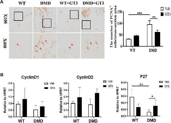 ma1083 fcell 10 820520 g006