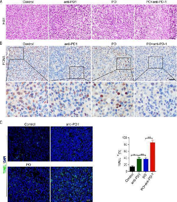 ma1083 fonc 15 1528004 g002