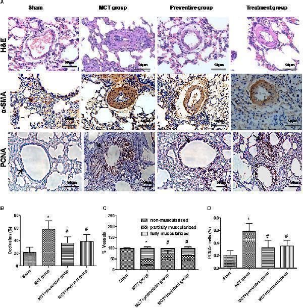 ma1083 fphar 10 00128 g004