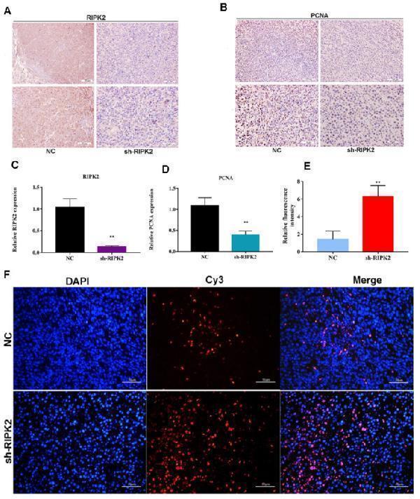 ma1083 jcav15p0176g011