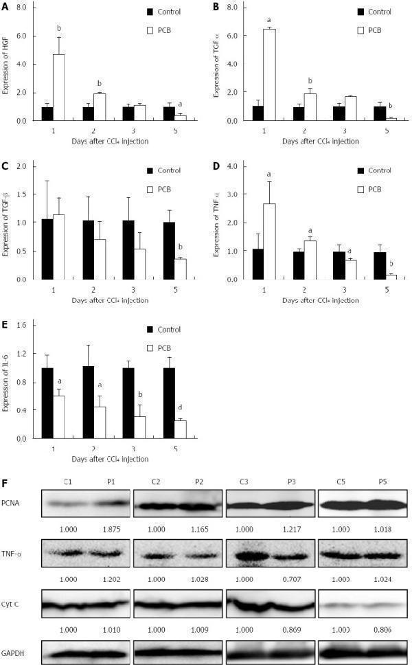 ma1083 wjg 21 5465 g004
