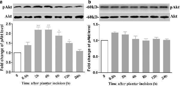 ma1085 12868_2019_521_fig4_html