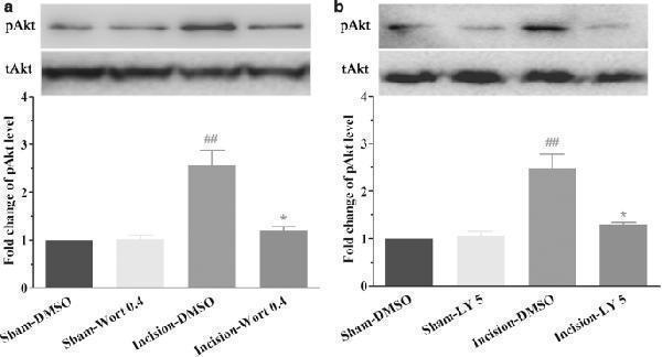 ma1085 12868_2019_521_fig6_html