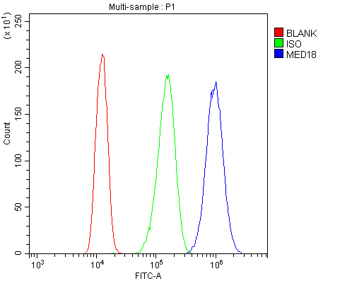 Flow Cytometry analysis of A431 cells using anti-MED18 antibody (A10600-2). Overlay histogram showing A431 cells stained with A10600-2 (Blue line).The cells were blocked with 10% normal goat serum. And then incubated with rabbit anti-MED18 Antibody (A10600-2,1μg/1x106 cells) for 30 min at 20°C. DyLight®488 conjugated goat anti-rabbit IgG (BA1127, 5-10μg/1x106 cells) was used as secondary antibody for 30 minutes at 20°C. Isotype control antibody (Green line) was rabbit IgG (1μg/1x106) used under the same conditions. Unlabelled sample (Red line) was also used as a control.