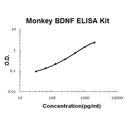 Monkey primate BDNF ELISA Kit PicoKine®