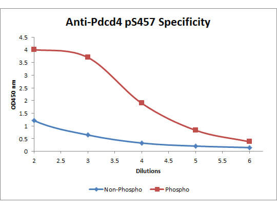 mp01105 1 pdcd4 primary antibodies elisa testing 3
