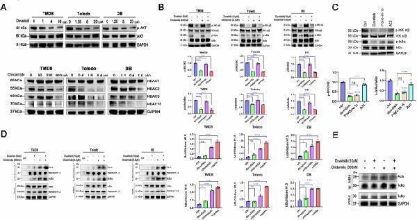 p01139 41420_2025_2756_fig5_html
