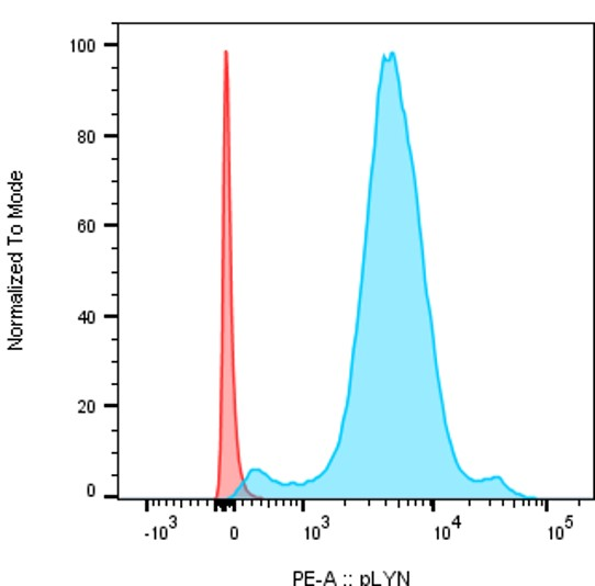  Flow Cytometry analysis of B cells using anti-Phospho-Lyn (Y396) rabbit monoclonal antibody (P01424-1)