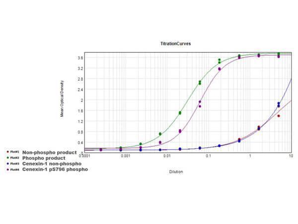 p05599 odf2 primary antibodies elisa testing 2