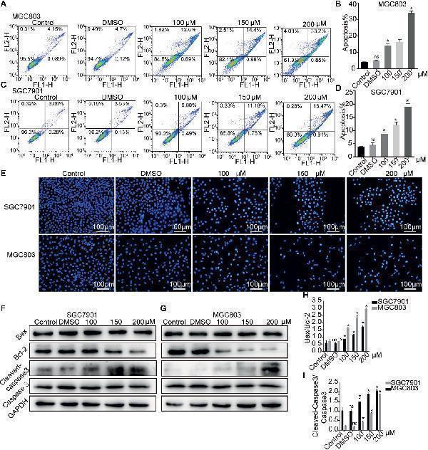pa1006 fonc 10 537322 g003