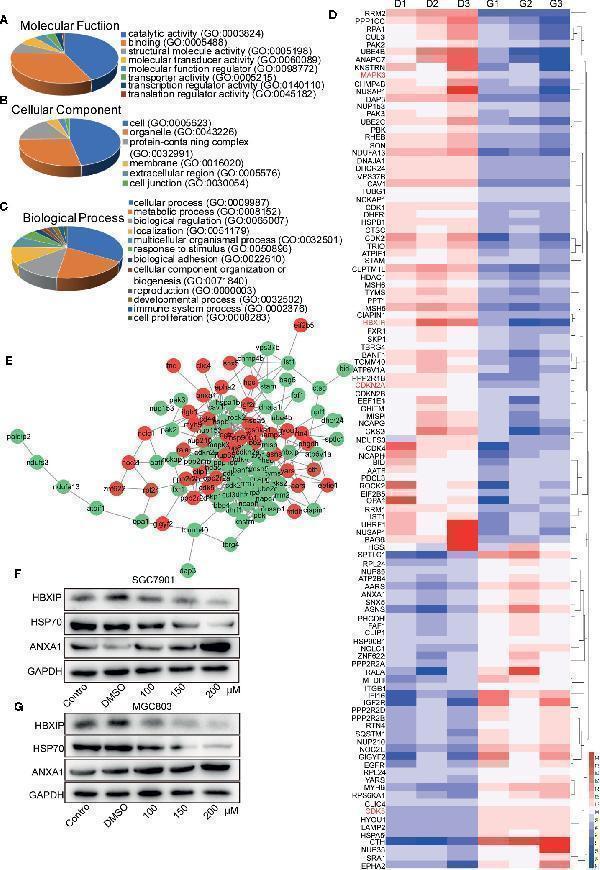 pa1006 fonc 10 537322 g005