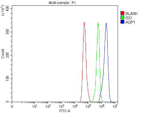 pa1010 aqp1 primary antibodies fcm testing 5