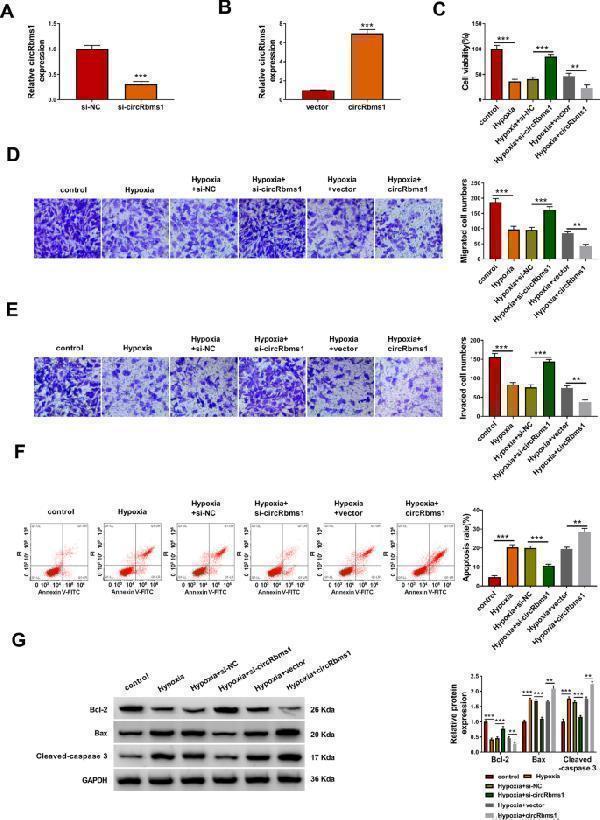 pa1013 1 11658_2022_330_fig2_html