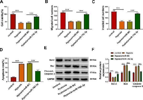 pa1013 1 11658_2022_330_fig4_html