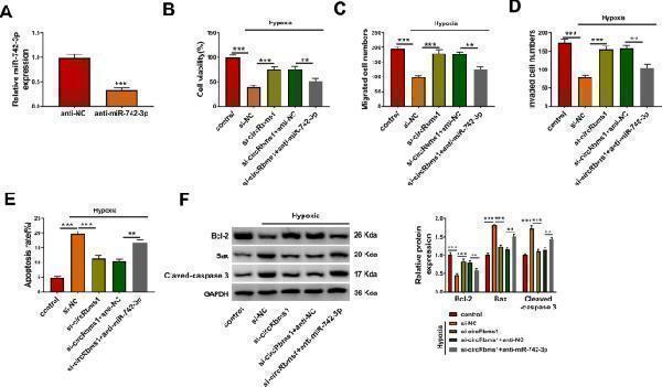 pa1013 1 11658_2022_330_fig5_html
