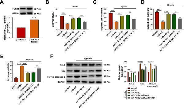 pa1013 1 11658_2022_330_fig7_html