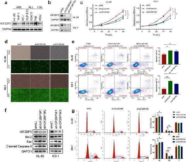pa1013 1 12276_2022_735_fig2_html