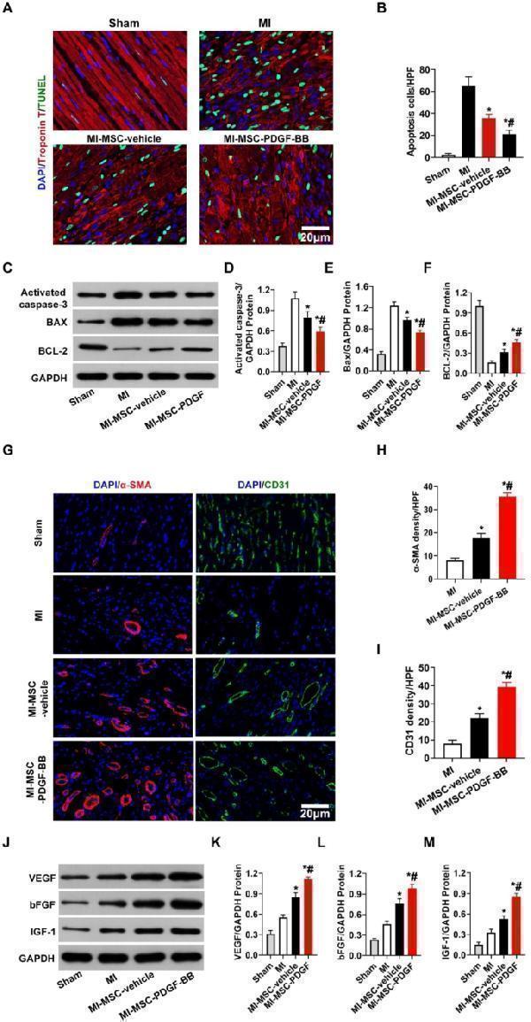 pa1013 1 12951_2023_2204_fig6_html