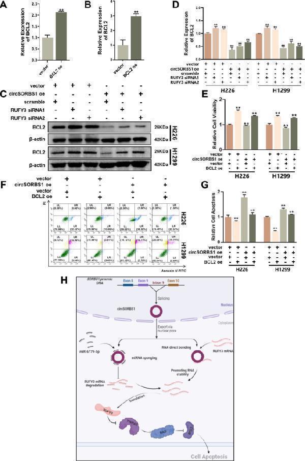 pa1013 1 12967_2024_5423_fig6_html