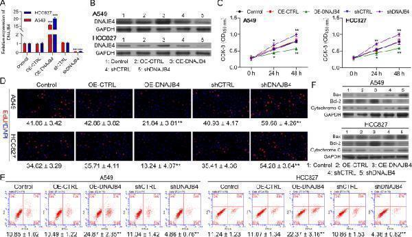 pa1013 1 40364_2022_407_fig7_html