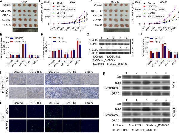 pa1013 1 40364_2022_407_fig9_html