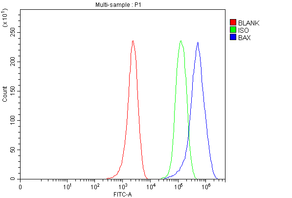 pa1013 1 bax primary antibodies fcm testing 1