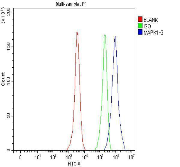  Flow Cytometry analysis of Hela cells using anti-MAPK1/3 antibody (PA1049)