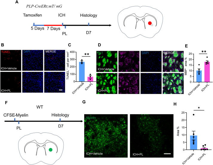 pa1050 publication 1 s2